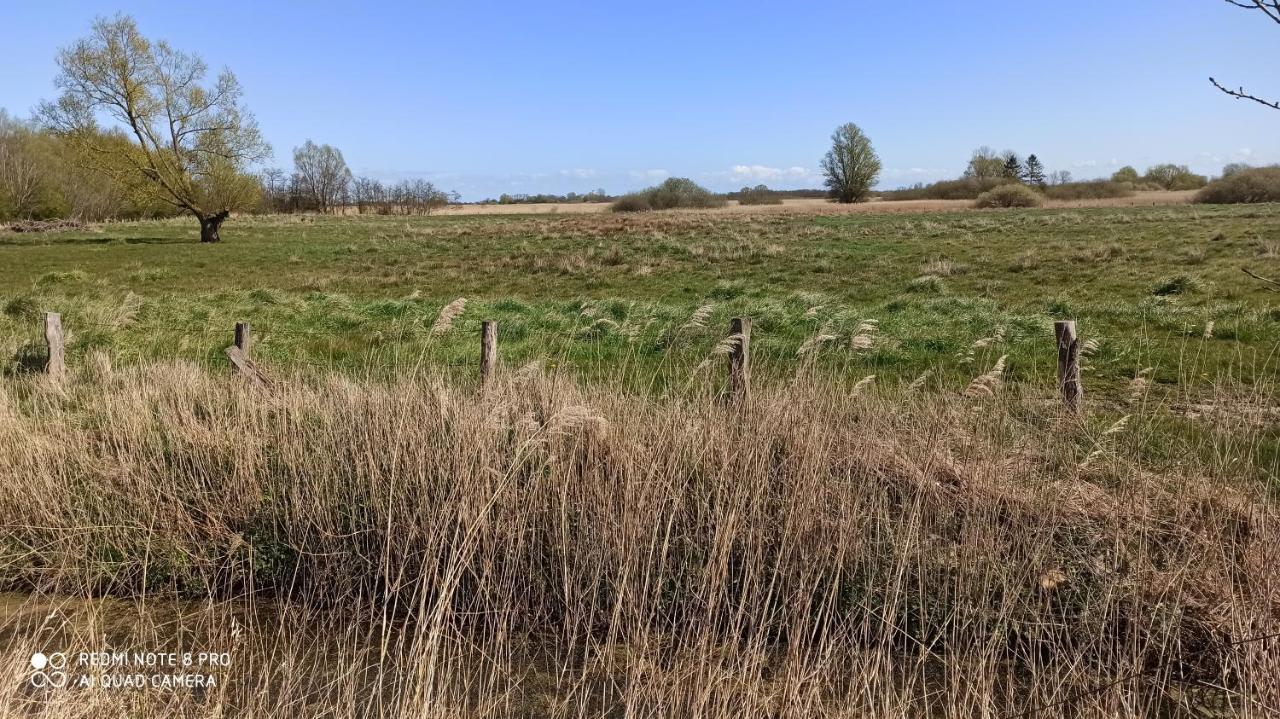 Ferienwohnung Kuestenkind Wendtorf Buitenkant foto